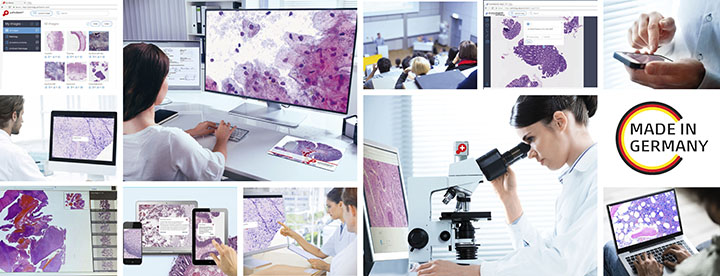 Collage with the application areas of digital microscopy and digital pathology
