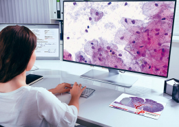 Digital Pathology: Physician works with PathoZoom Digital Lab in the home office