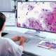 Digital Pathology: Physician works with PathoZoom Digital Lab in the home office