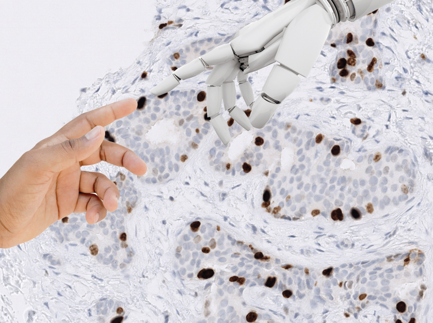Human hand meets machine hand while using the PathoZoom Diagnostic Assistant