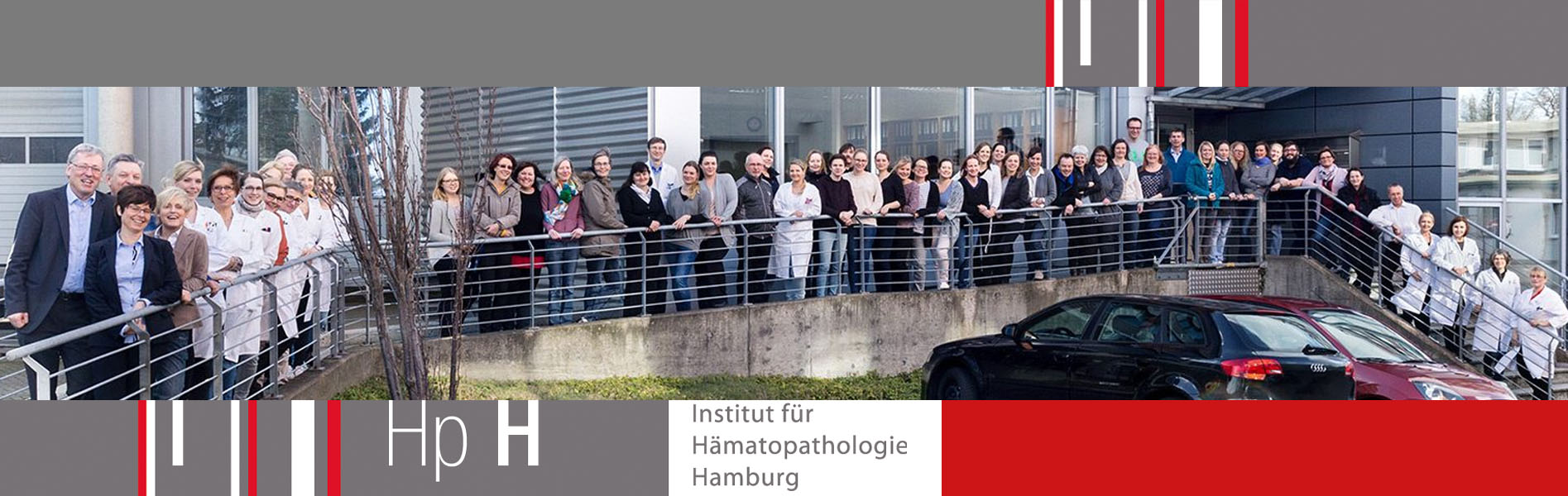 Team Institute Hematopathology Hamburg