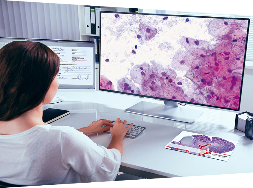 Pathologist working at the computer in the home office with the help of the PathoZoom Digital Lab