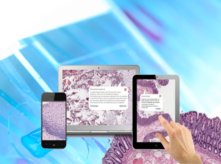 Digital pathology a la PathoZoom when applied on Smartphone, Tablet and PC