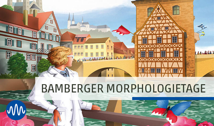 Titelbild Bamberger Morphologietage