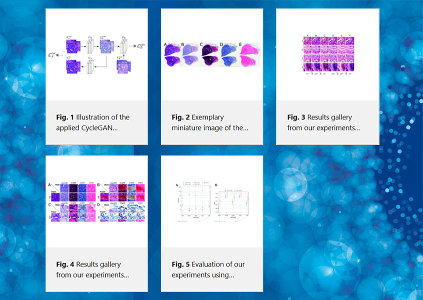 Figures og the publication Normalization of HE-stained histological images