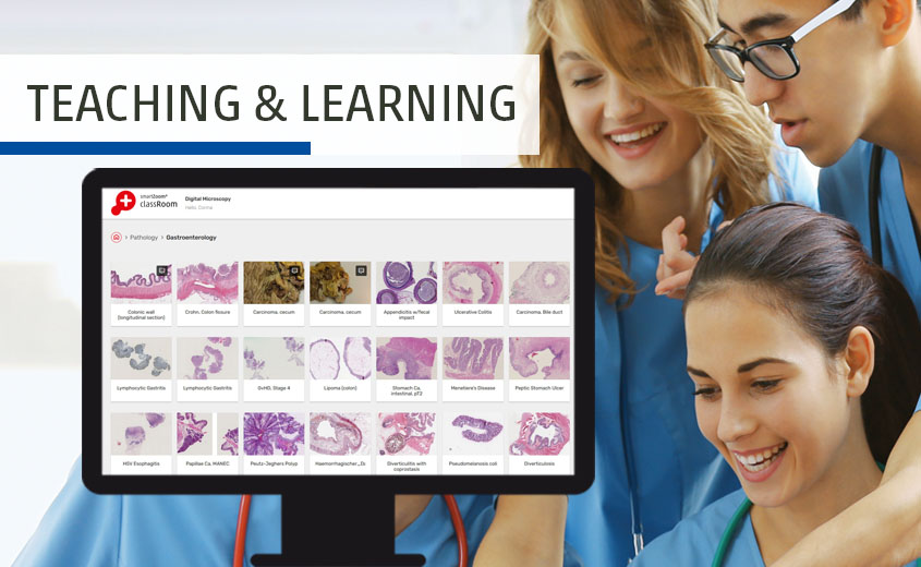 Students learning microscopy online