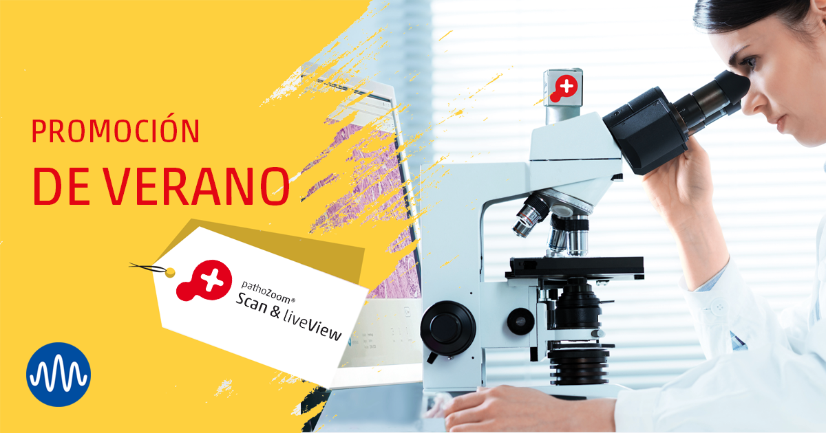 Manual scanning on the microscope