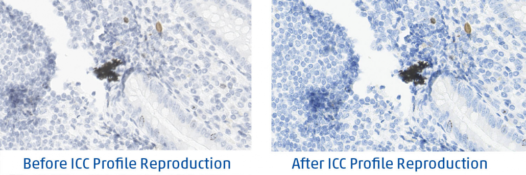 ICC Profile Reduction 1+2