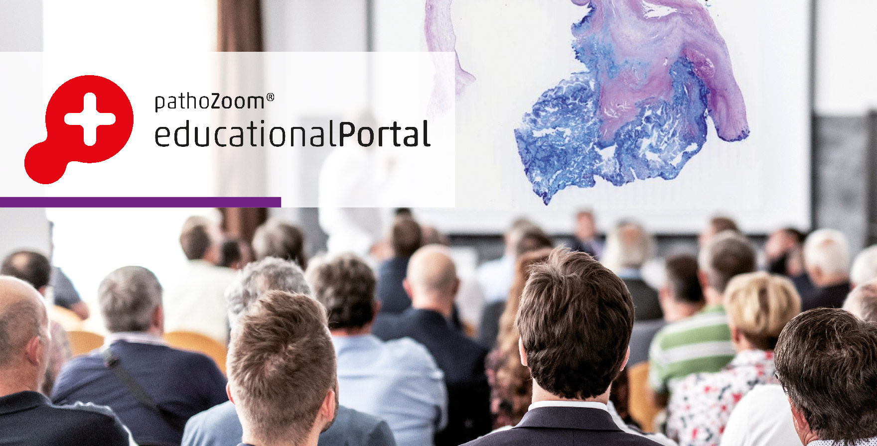 Mini Header Educational Portal