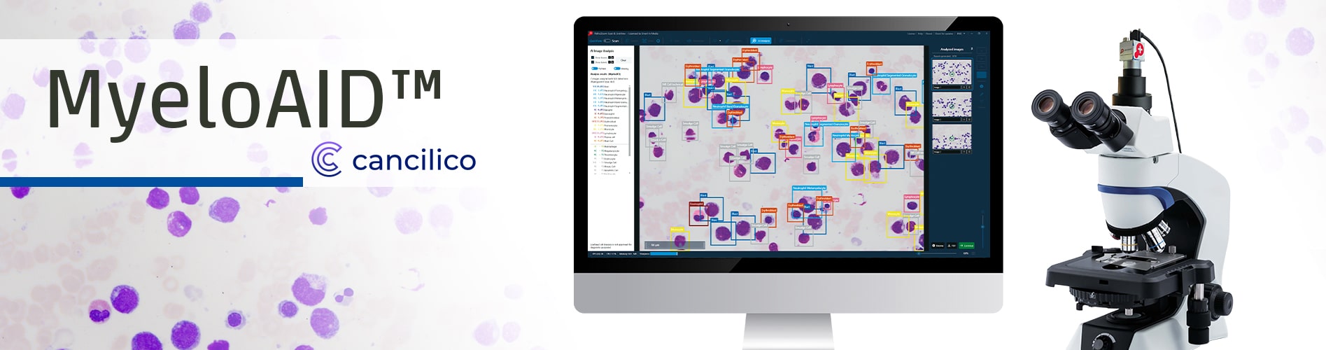 Header MyeloAID 2025-10-30-min