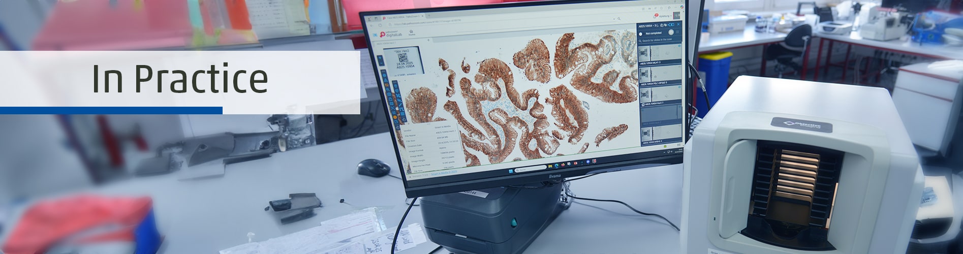 Header In Practice 2025-11-06-min