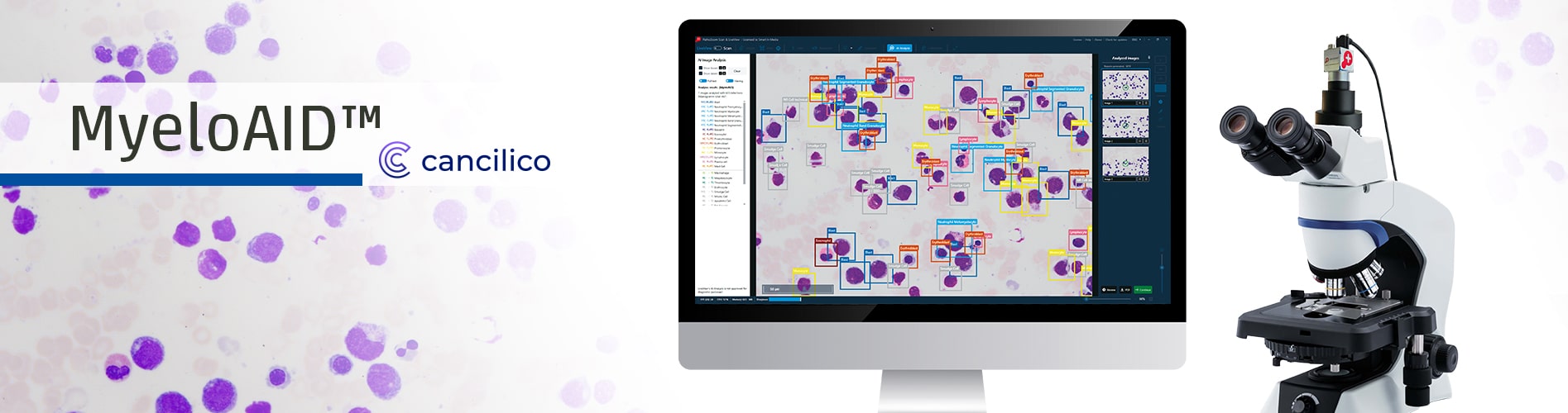 Header MyeloAID 2025-11-10-min