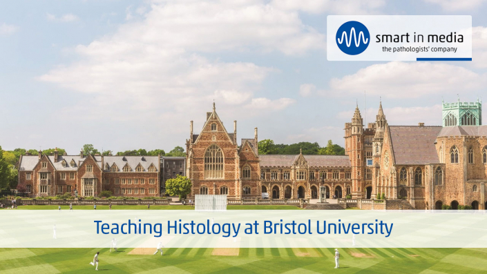 UseCase Thumbnail Bristol EN