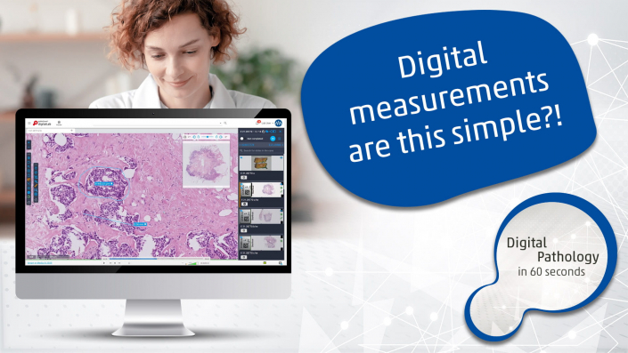 DP60S 05 Measure Thumbnail